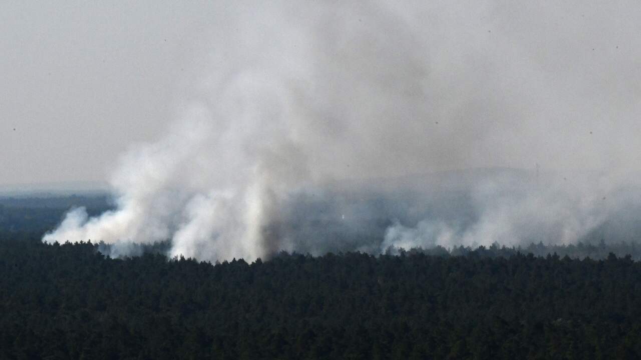 Deutsche Feuerwehr kann großen Waldbrand in Berlin wegen Explosionsgefahr nicht löschen |  Im Ausland