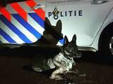 Politiehond betrapt inbreker op heterdaad in Segbroek