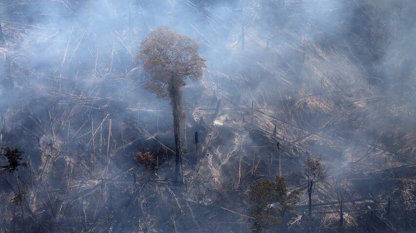 Vorige maand ruim een kwart meer bosbranden in Braziliaans Amazonegebied
