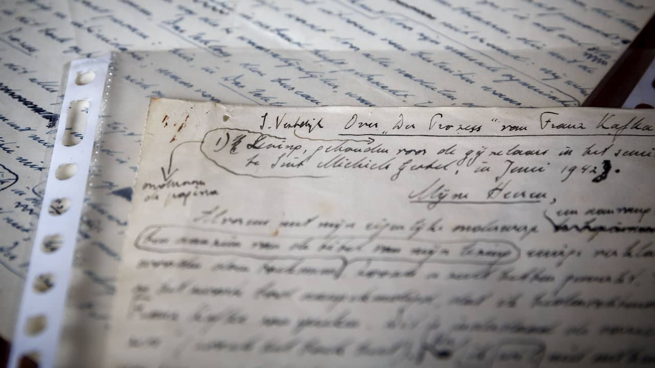 Decine di lettere sulla resistenza olandese ritrovate in una soffitta americana |  All’estero