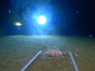 Onderzeeër vindt plastic op bodem Grote Oceaan tijdens diepste duik ooit