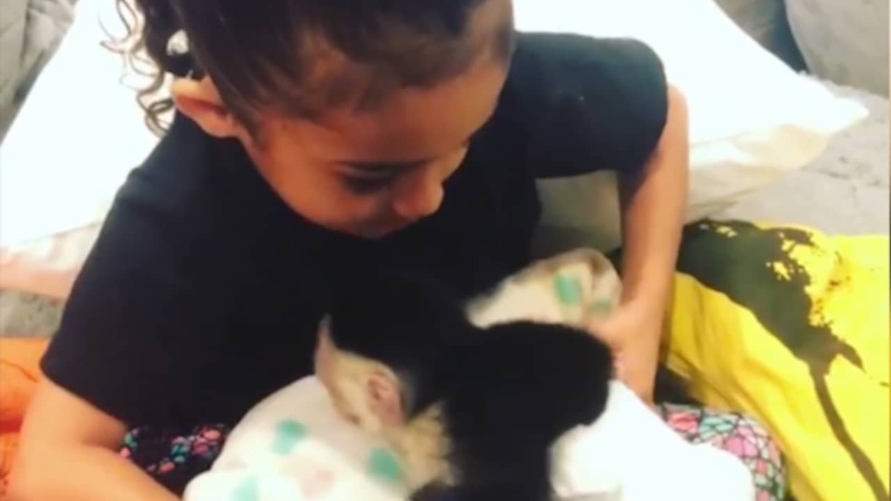 Beeld uit video: Chris Brown geeft aapje aan dochter