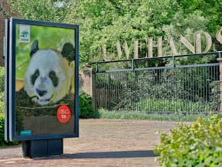 Nederlandse dierentuinen en dagattracties gaan deuren weer openen