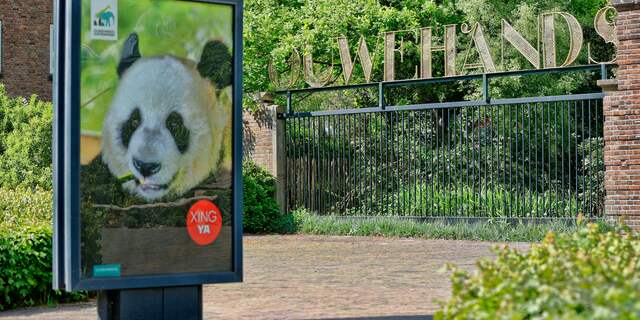 Nederlandse dierentuinen en dagattracties gaan deuren weer openen NU