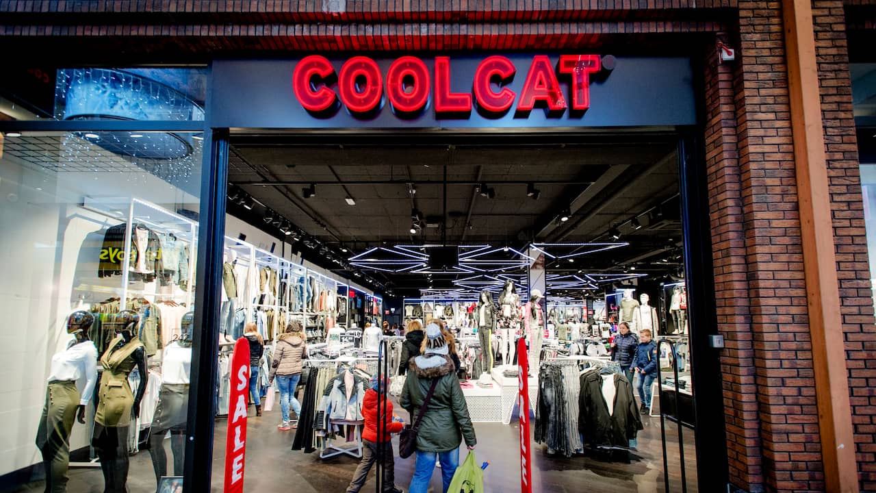 Coolcat Online Coolcat Online