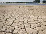 Vitens krijgt waarschuwing voor oppompen te veel grondwater in zomer