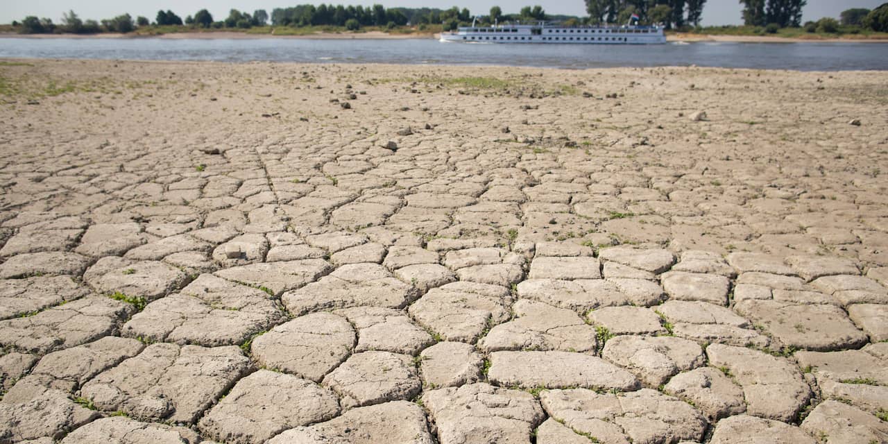 Verzilting bodem en water in West-Nederland neemt toe door droogte