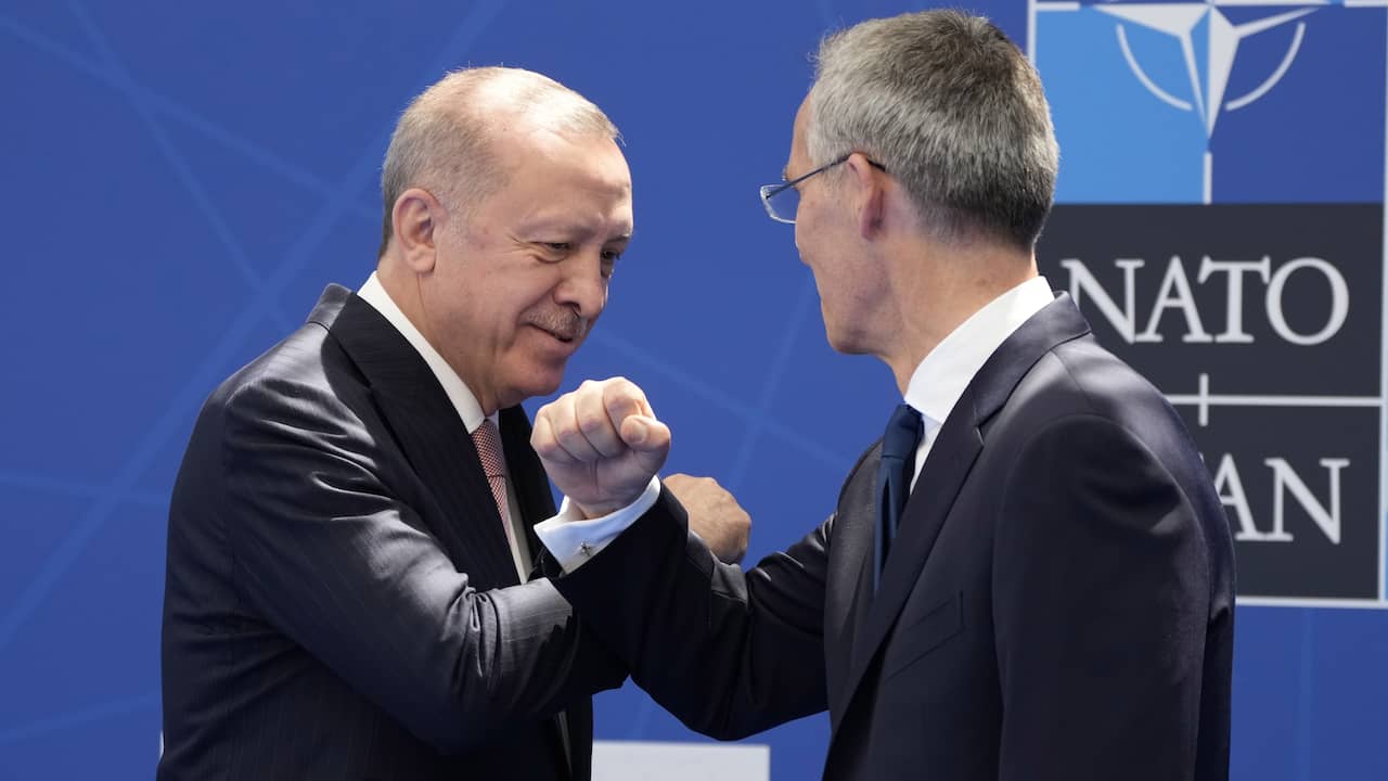 Bisakah Turki dikeluarkan dari NATO (dan apakah itu akan menjadi solusi)?  † Saat ini