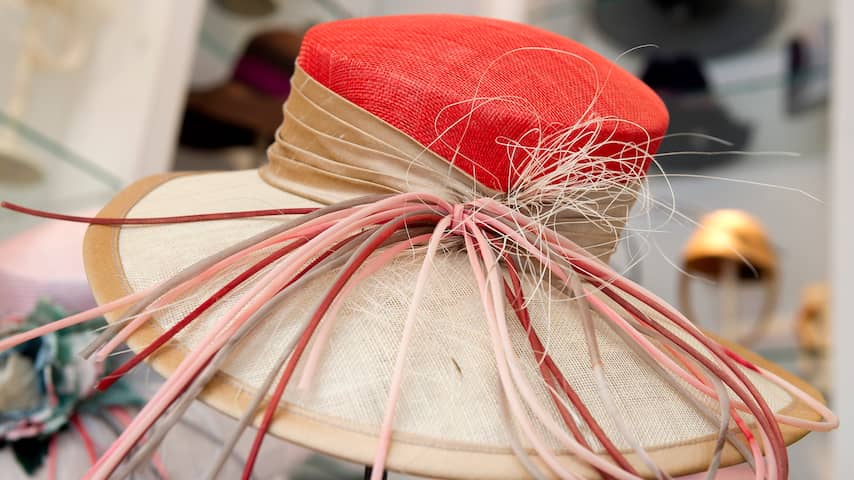 Martelaar hoog voeden Exclusieve vintage hoeden gevonden op oude zolderkamer in Passage | Den  Haag | NU.nl