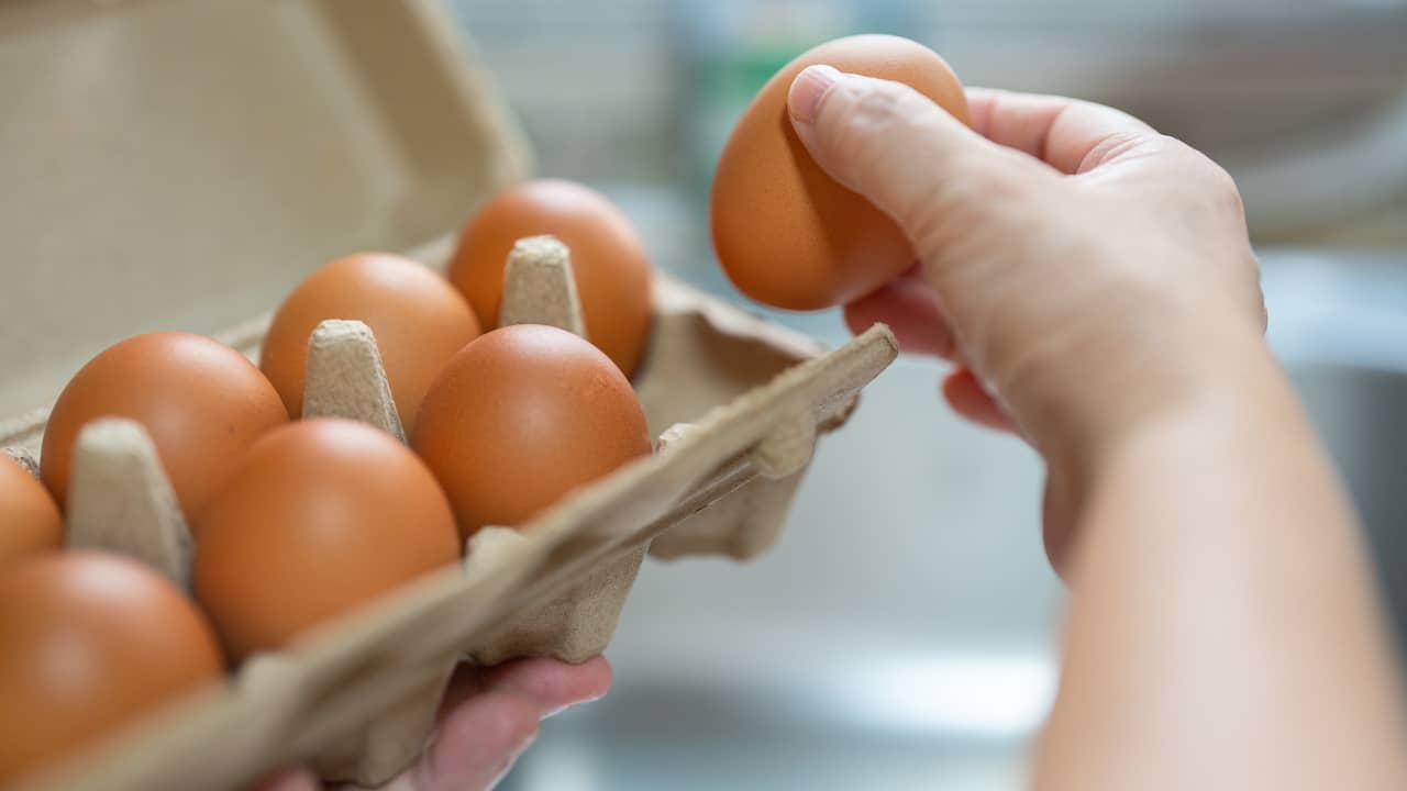 Verhoogd neutrale Alfabetische volgorde Eieren weer in prijs gestegen en bezuinigen is lastig | Eten en drinken |  NU.nl