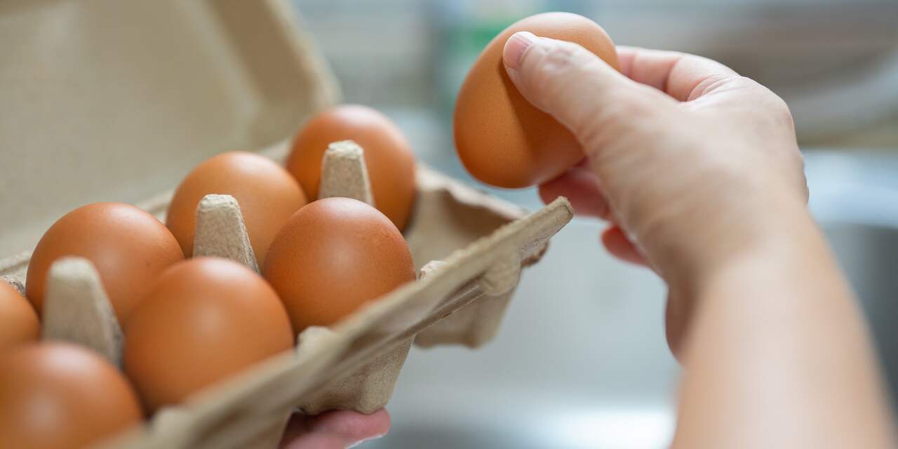 Eieren weer in prijs gestegen en bezuinigen is lastig