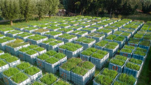253 plantenbakken voor onderzoek biodiversiteit