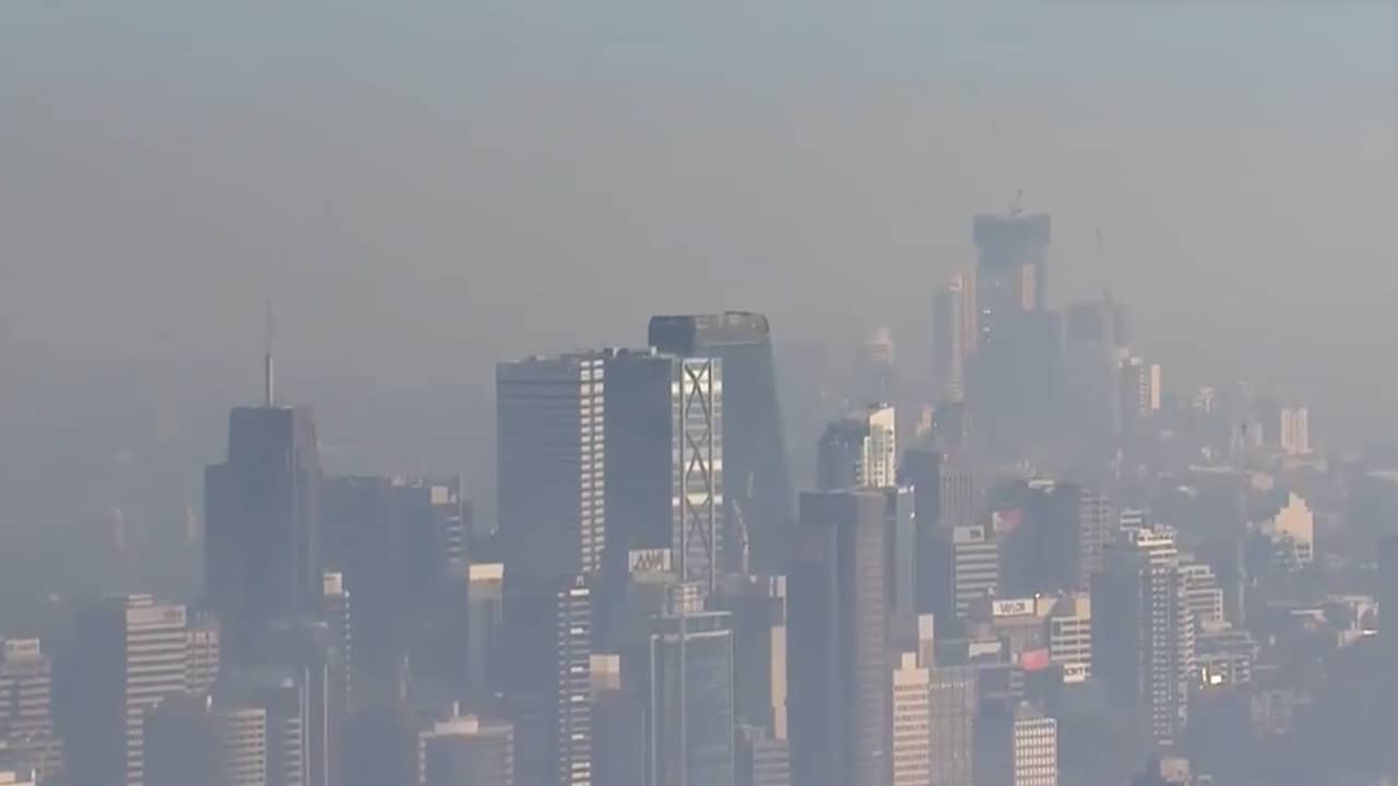 Beeld uit video: Sydney gehuld in giftige rook door 'geplande' bosbranden