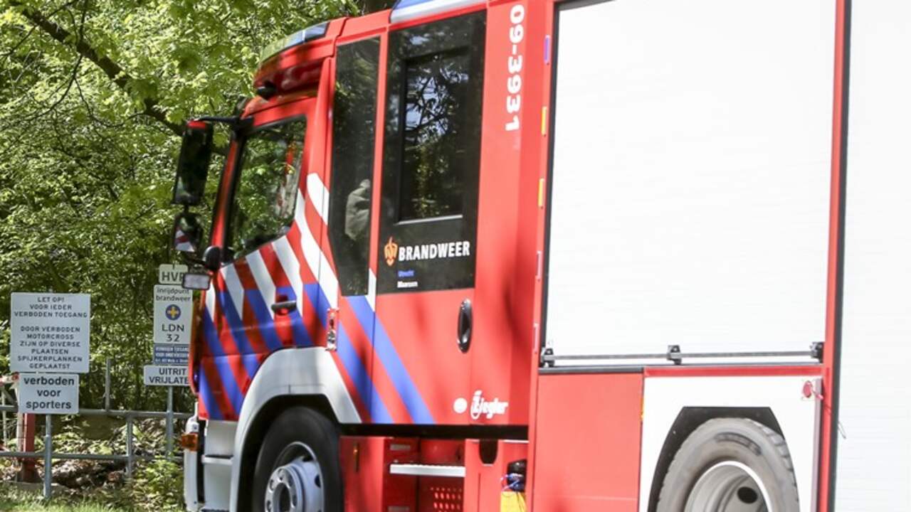 Veel rook bij bermbrand, Gooiseweg afgesloten