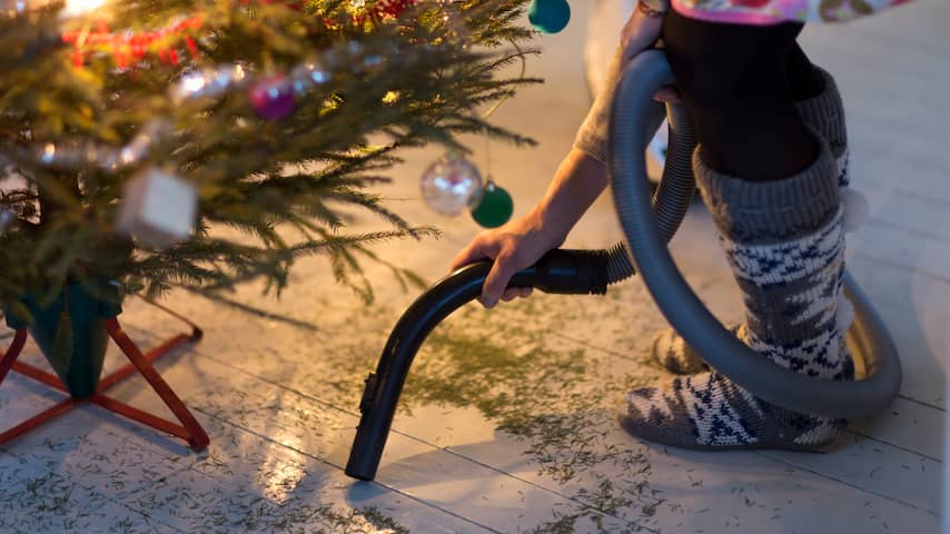 Wanneer moet kerstboom weg en hoe doe je dat? Wonen NU.nl