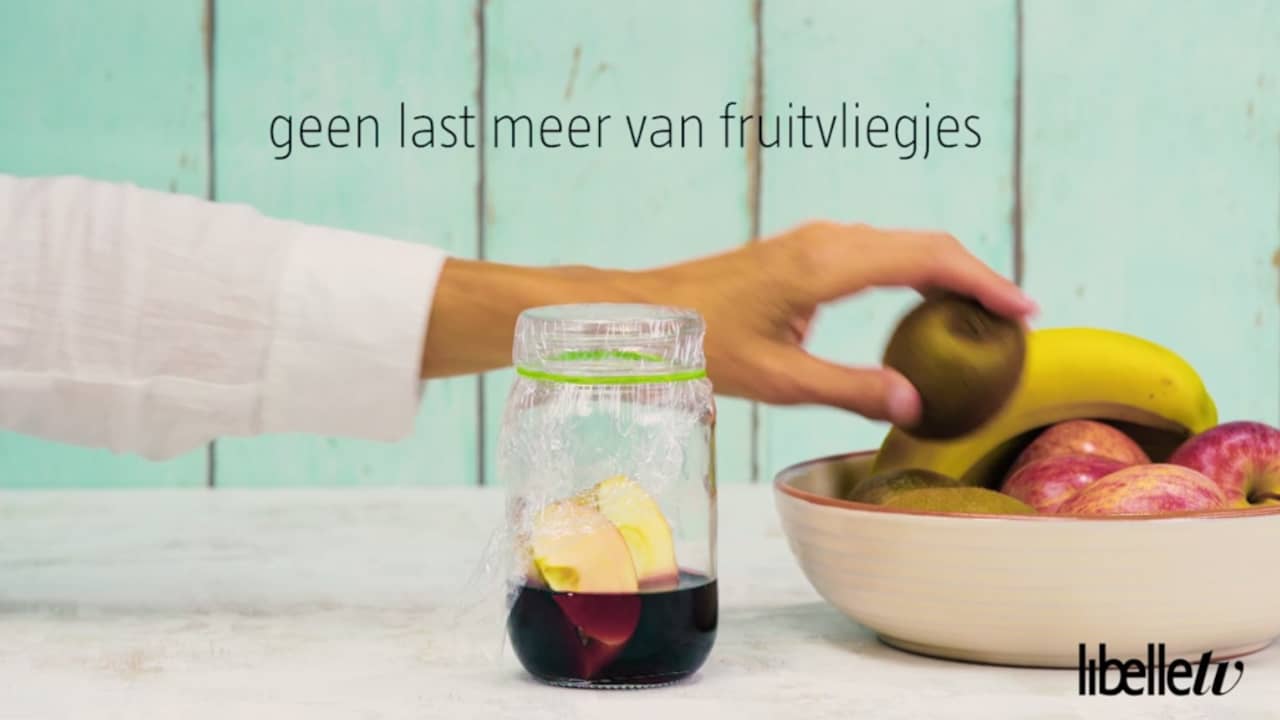 zo kom je van fruitvliegjes af | nu - het laatste nieuws het eerst