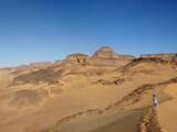 Prehistorische bewoners van Sahara aten meerval en tilapia