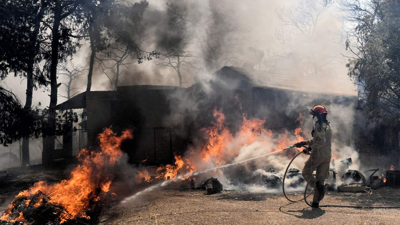 Greece evacuates 1,200 children from holiday camps due to forest fire |  Abroad