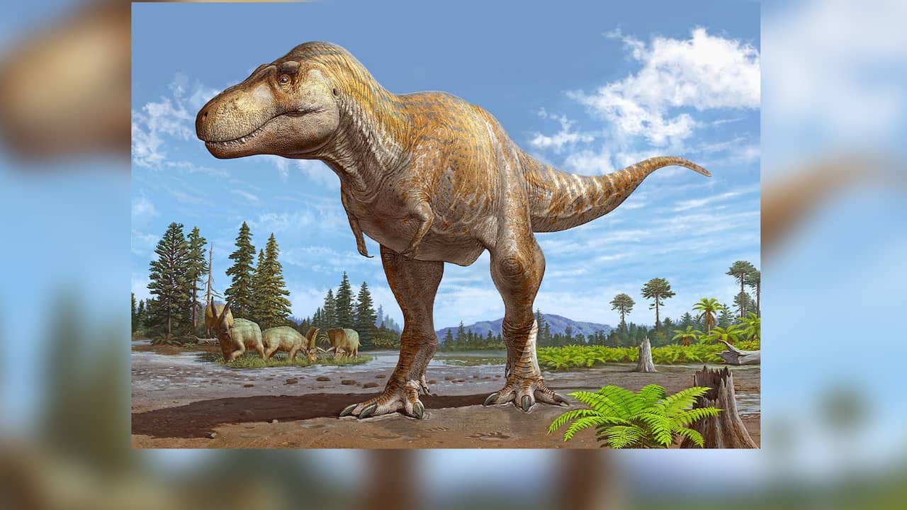 New species of dinosaurs larger than tyrannosaurs known to science have been discovered