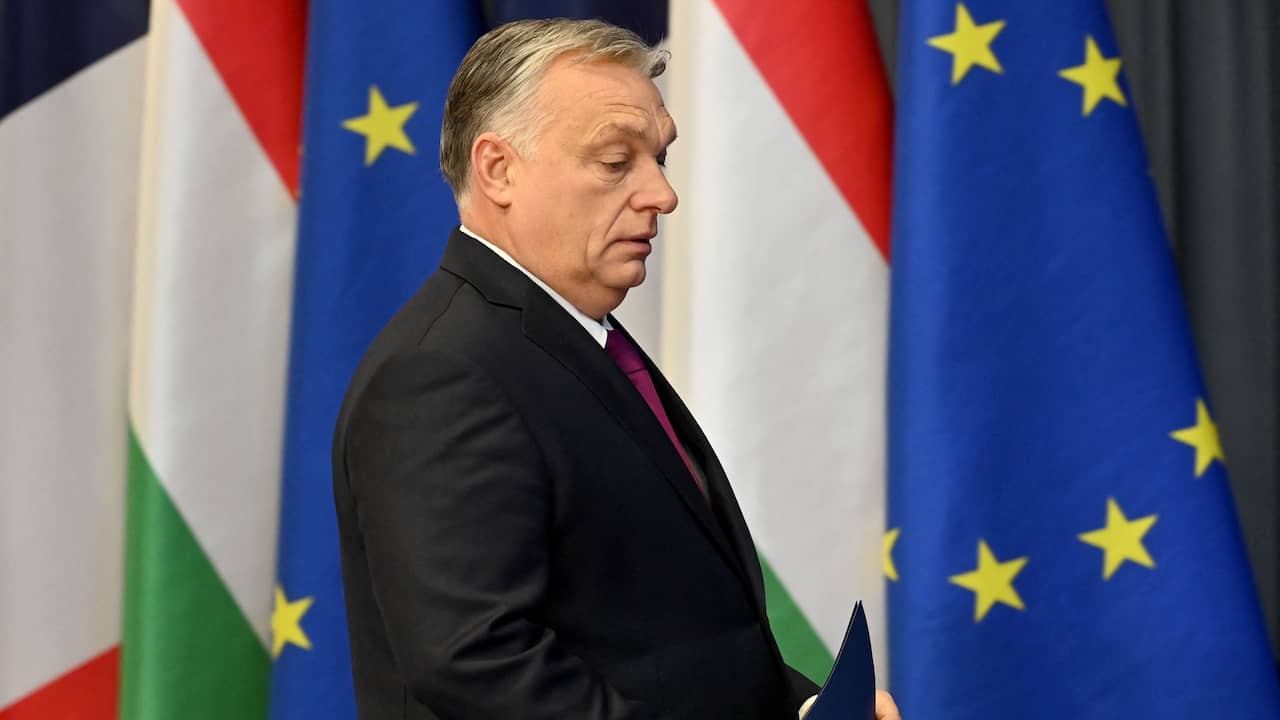 La maggior parte dei paesi dell’UE sostiene un’azione legale contro la legge LGBTI ungherese |  All’estero