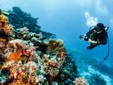 Great Barrier Reef nog niet op lijst bedreigd werelderfgoed na lobby Australië