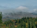 Meerdere dorpen in Zweden ontruimd vanwege grote bosbranden