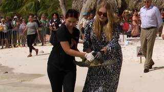 Prinses Amalia zet schildpad terug in zee bij Curaçao