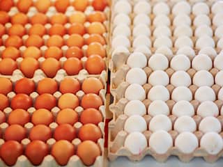 eieren in supermarkt