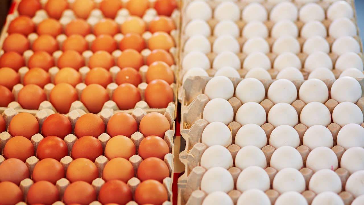 Een ei hoort erbij: hoeveel mogen er eten met Pasen? | Eten en drinken | NU.nl
