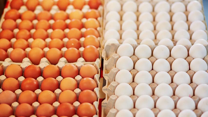 eieren in supermarkt