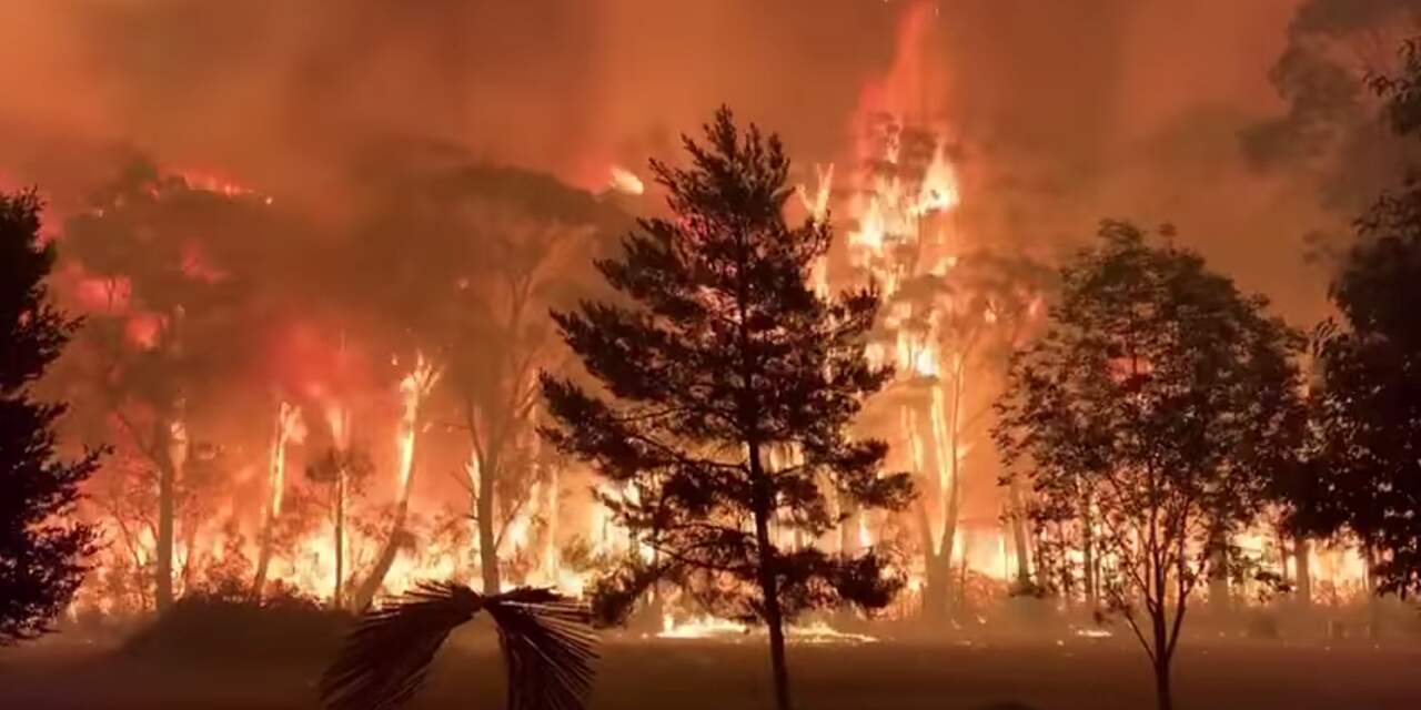 Wat is de oorzaak van de verwoestende bosbranden in Australië?