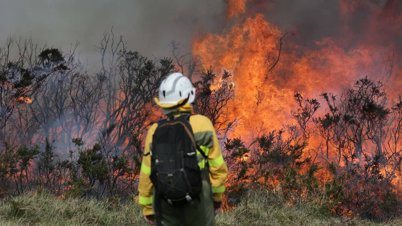 “2022: Europe’s Hottest Year on Record – The Impact of Climate Change”