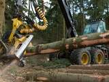 Staatsbosbeheer start met werkzaamheden in bossen Stoppelbergen