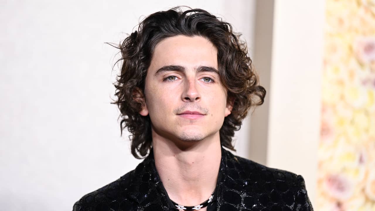 Timothée Chalamet and Kylie Jenner Attend Golden Globes Together: Relationship, PDA, and More