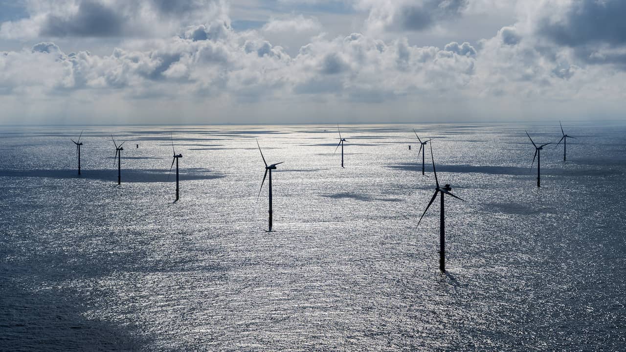 The Dutch offshore wind farm is directly connected to a new power cable towards the UK  Economy