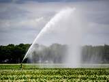 Brabants drinkwaterbedrijf roept boeren op niet overdag te beregenen