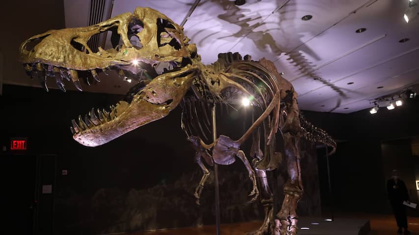 Skelet van tyrannosaurus rex levert 27 miljoen euro op