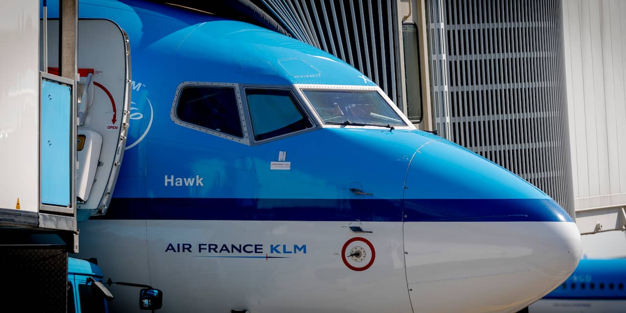 'Top Air France-KLM bekritiseert voorzitter ondernemingsraad KLM'