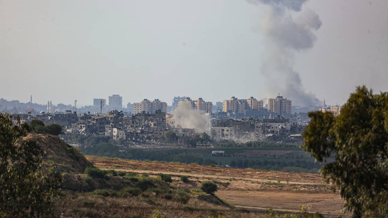 Dutch woman dies in Gaza | Latest news and updates on the Israeli-Palestinian Conflict