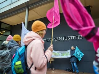 Vaker naar de rechter voor het klimaat: 'Petities en optochten niet genoeg'