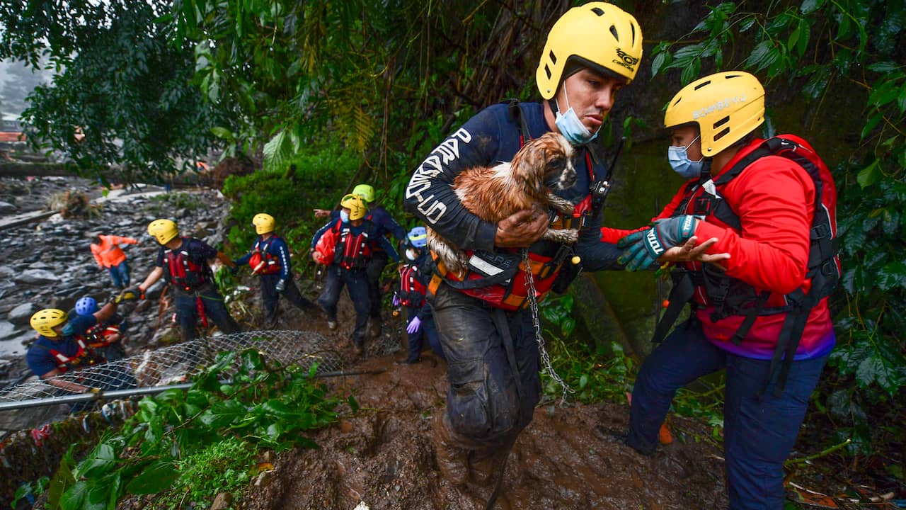 Dozens are killed in Central America by Tropical Storm Eta |  NOW