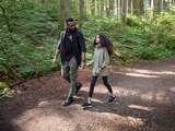 Dagelijkse wandeling kan een op de tien voortijdige overlijdens voorkomen
