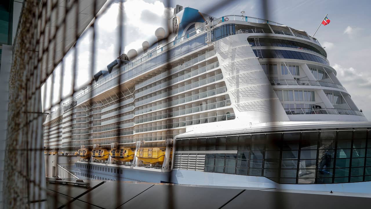 Royal Caribbean ‘Cruise to Nowhere’ stranded with onboard corona case |  NOW