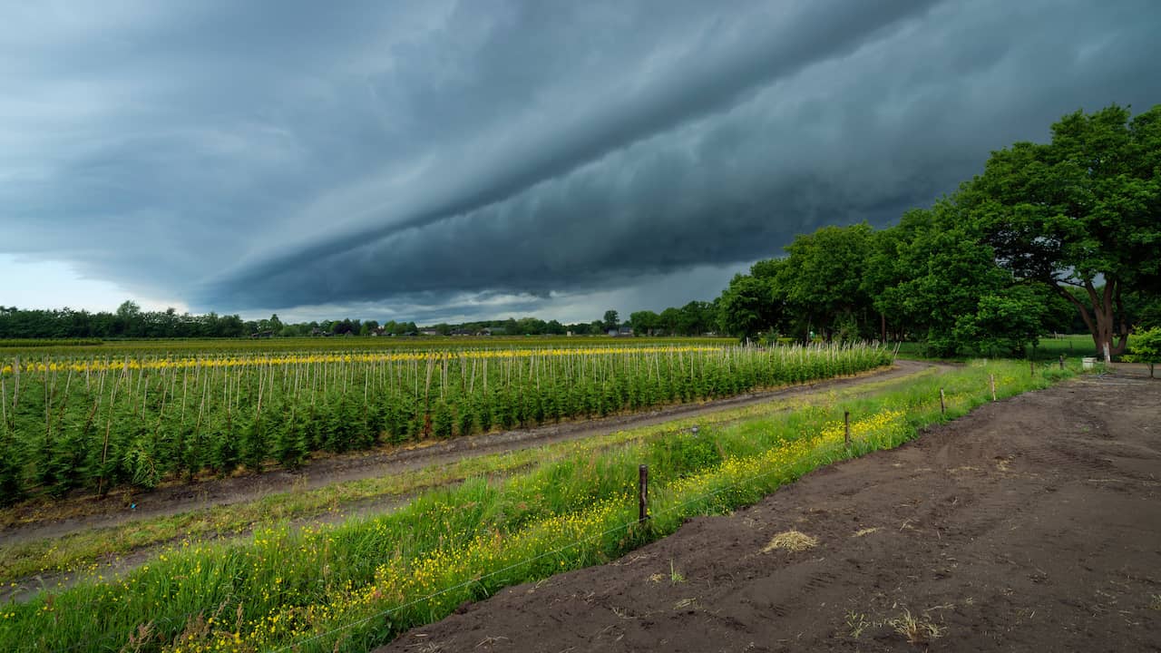 Code Yellow Issued in Seven Provinces of the Netherlands Due to Chance of Strong Thunderstorms