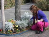 Zebrapad, glijbaan of buurttuin in de wijk? Zo haal je de gemeente over