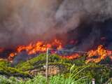 Bosbranden Griekenland verwoestten tot nu toe al 90.000 hectare aan grond