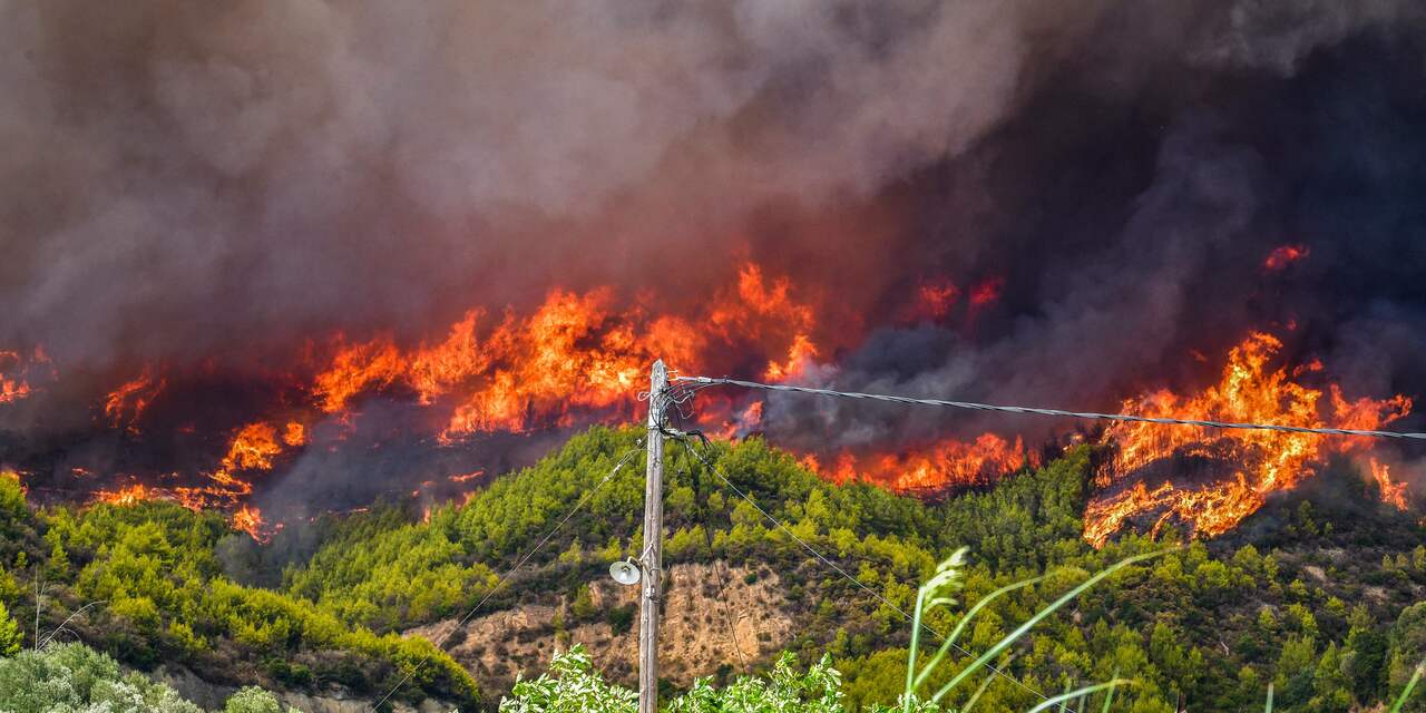 Bosbranden Griekenland verwoestten tot nu toe al 90.000 hectare aan grond