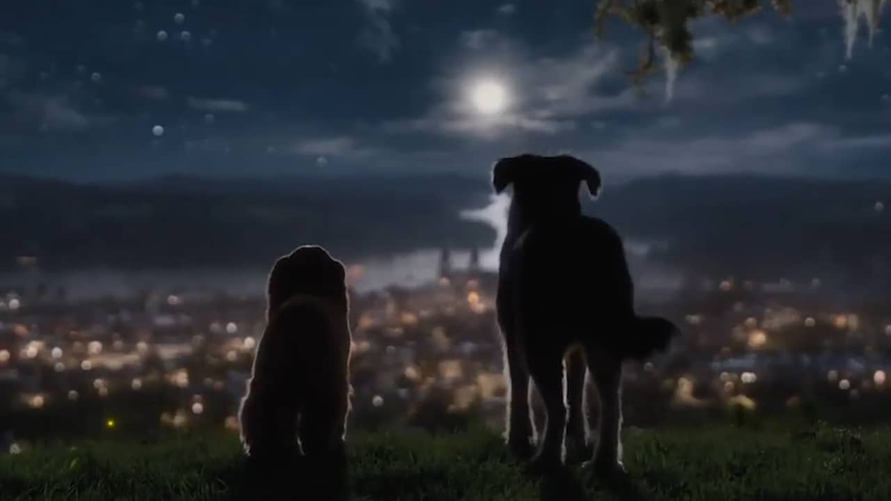 Beeld uit video: Disney toont eerste beelden liveactionversie Lady and the Tramp