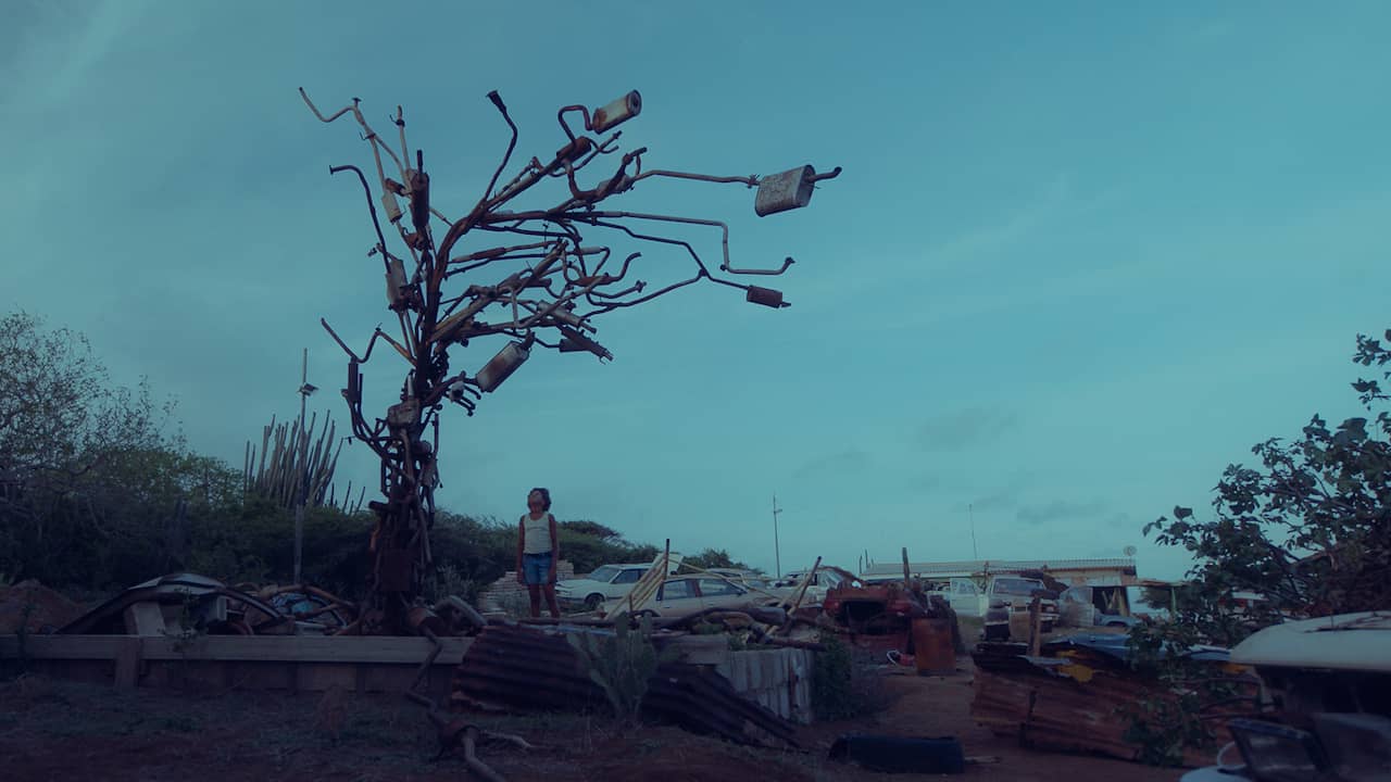 Opening film Dutch Film Festival gives Curaçao a completely new face |  NOW