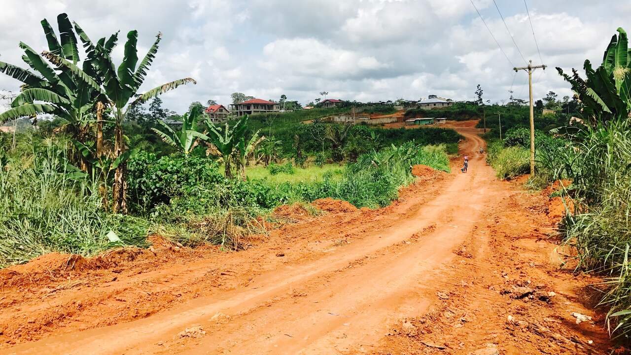 Fourteen dead in a landslide in Cameroon’s capital Yaoundé |  Abroad